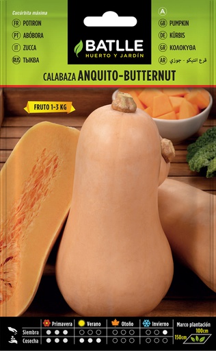 SEMILLAS BATLLE CALABAZA ANQUITO-BUTTERNUT