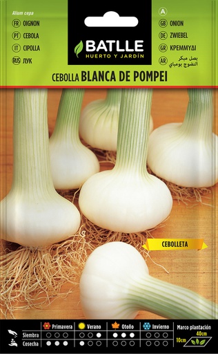 [3001371] SEMILLAS BATLLE CEBOLLA BLANCA DE POMPEI  