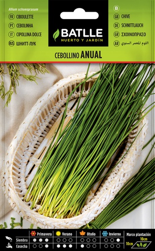 [3001605] SEMILLAS BATLLE CEBOLLINO ANUAL
