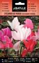 SEMILLAS BATLLE CYCLAMEN DE PERSIA