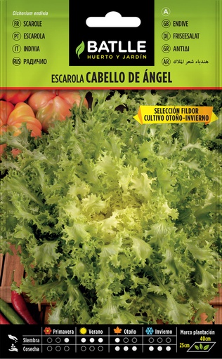 [013101] SEMILLAS BATLLE ESCAROLA CABELLO DE ANGEL SEL.FILDOR