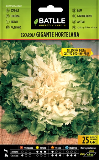 [3001405] SEMILLAS BATLLE ESCAROLA GIGANTE HORTELANA SEL.DELTA