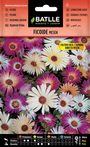 [3001533] SEMILLAS BATLLE FICOIDE TAPIZ MAGICO