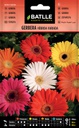 SEMILLAS BATLLE GERBERA HIBRIDA VARIADA