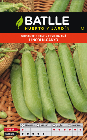 [7129] SEMILLAS BATLLE GUISANTE ENANO LINCOL-GANXO  250 GRS.