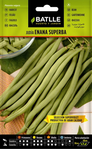 [3001215] SEMILLAS BATLLE JUDIA ENANA SUPERBA