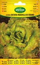 SEMILLAS BATLLE LECHUGA BATAVIA MARAVILLA DE VERANO SEL.MARESME
