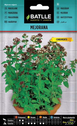 [3001633] SEMILLAS BATLLE MEJORANA - MEJORANA VULGARIS