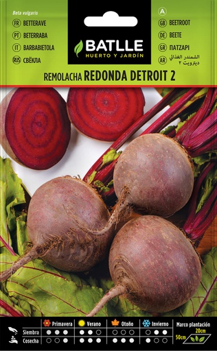 [3001294] SEMILLAS BATLLE REMOLACHA REDONDA DETROIT 2