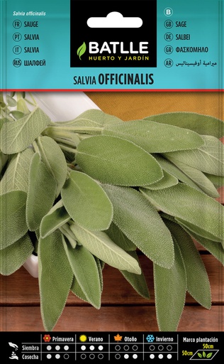 [3001611] SEMILLAS BATLLE SALVIA OFICINALIS