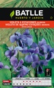 SEMILLAS BATLLE VIOLETA 4 ESTACIONES
