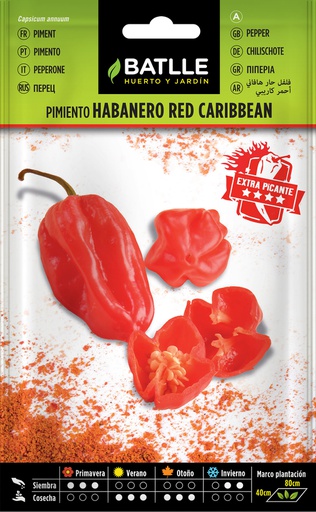 [3001324] PIMIENTO HABANERO RED CARIBBEAN