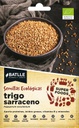 TRIGO SARRACENO SUPER FOODS