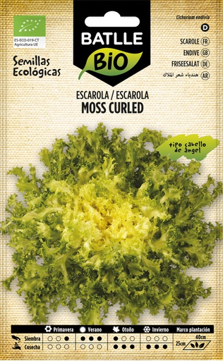 [3001673]  ESCAROLACABELLO DE ANGEL MOSS CURLED ECO.